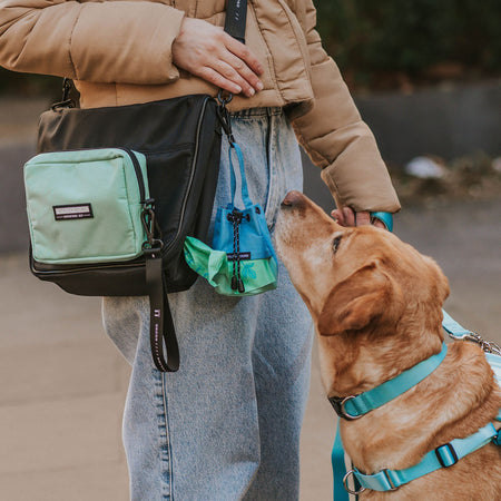 Aquatic Mini Satchel - Aquatic
