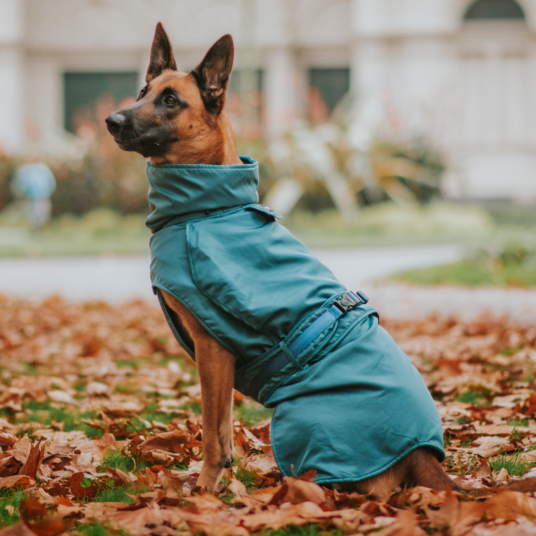 Teal Trench Coat