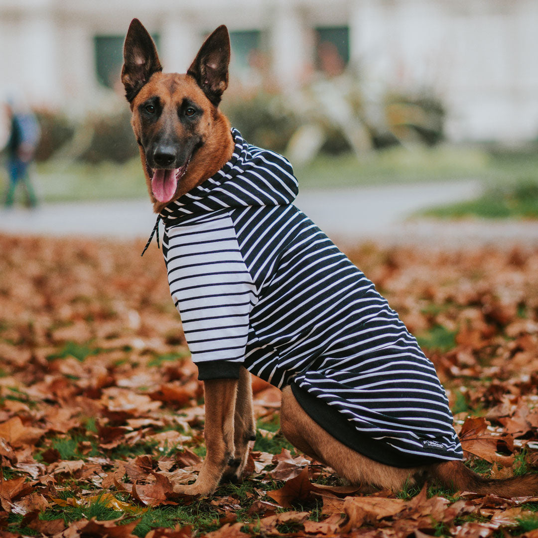 Black White Stripe Hoodie