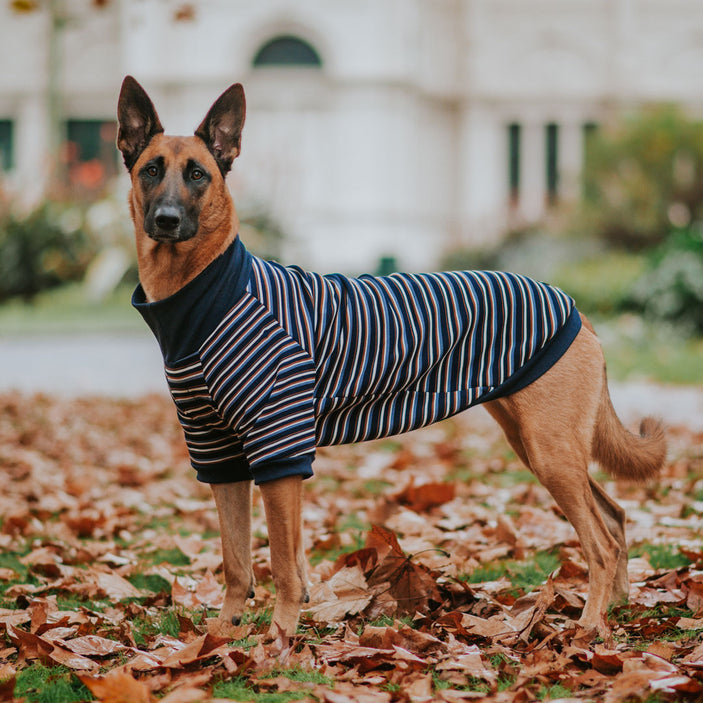 Hugo Stripe Turtleneck Sweater