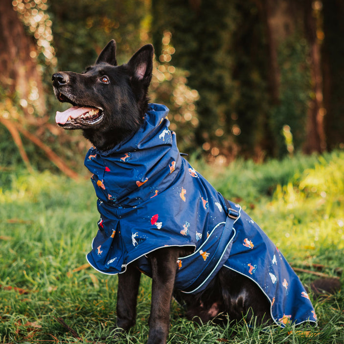 Dog Raincoat