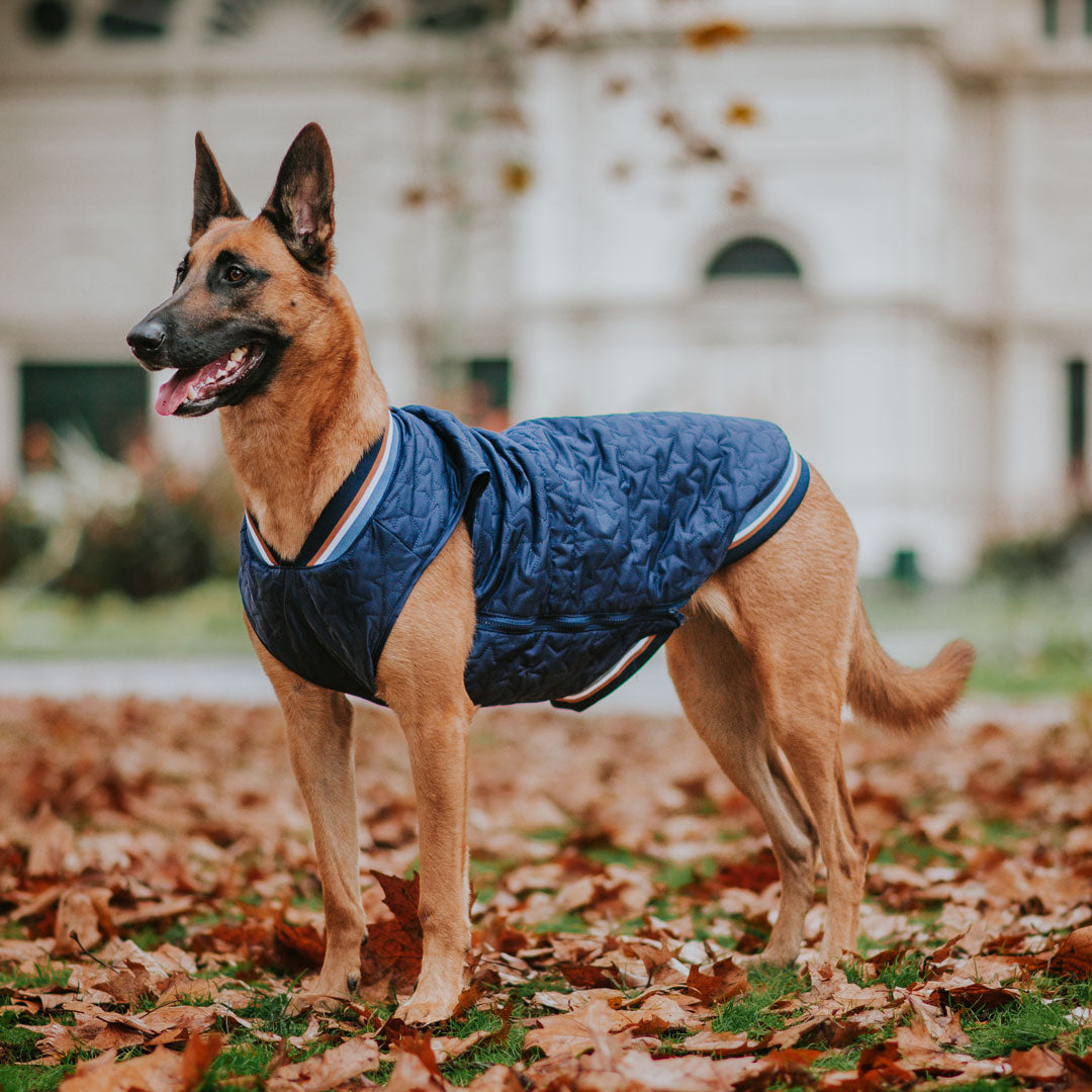 Navy Grand Slam Bomber Jacket