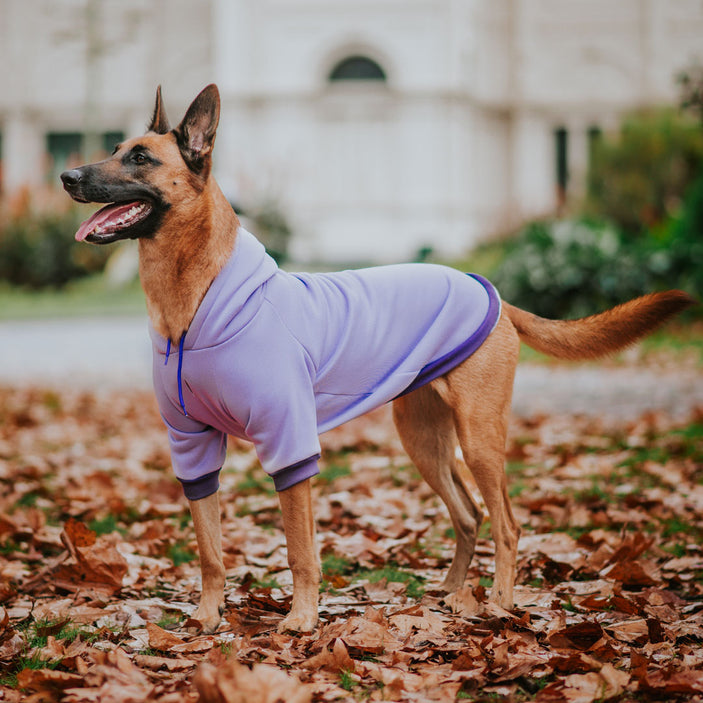 Lilac Hoodie