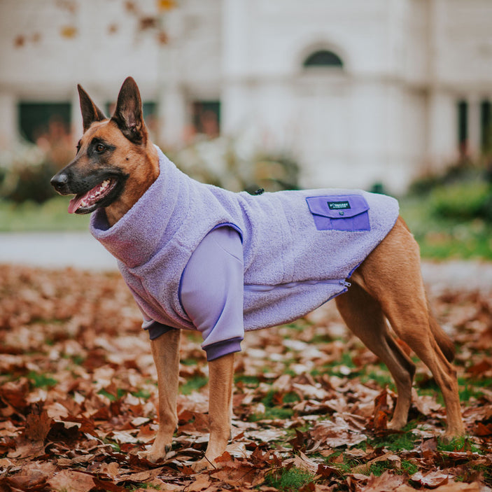 Lilac Hoodie