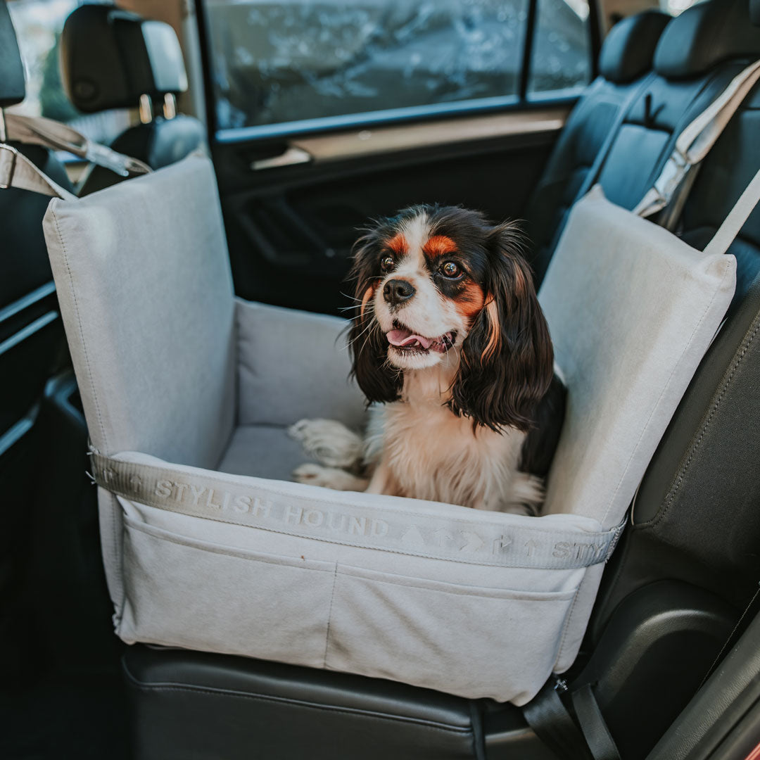 Puppy car seat harness best sale