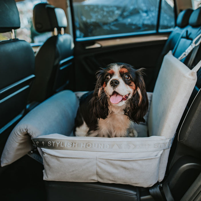 Car Seat and Travel Home Soft Grey + Isofix Safety Belt