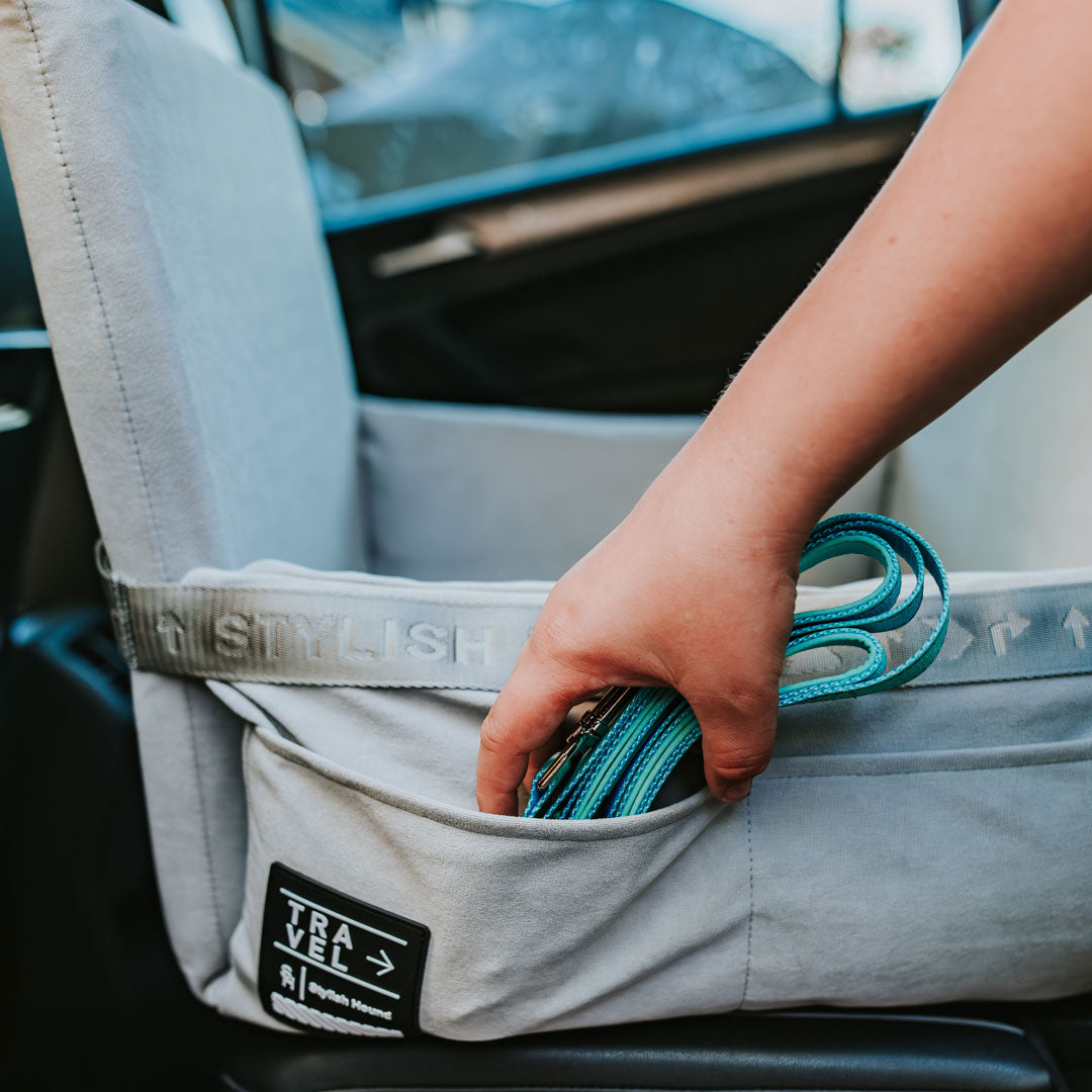 Car Seat and Travel Home