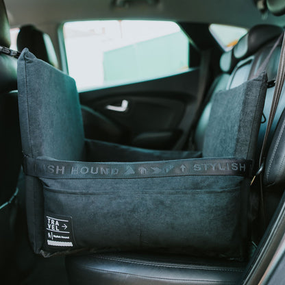 Car Seat and Travel Home