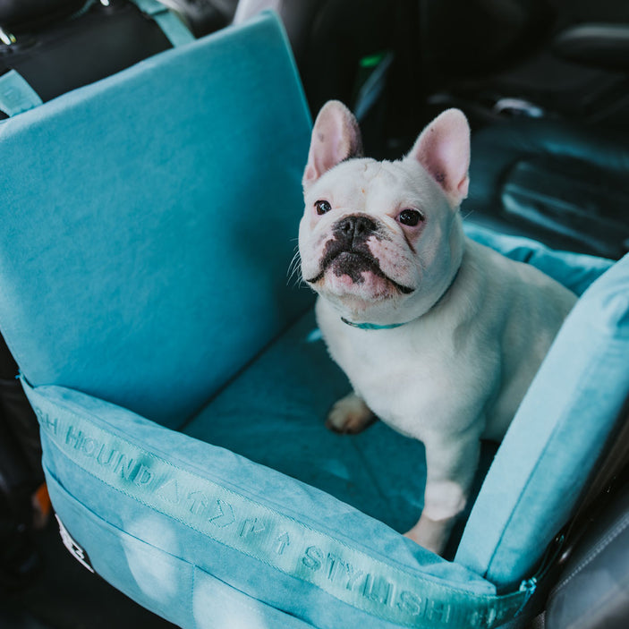 Car Seat and Travel Home Teal + Isofix Safety Belt