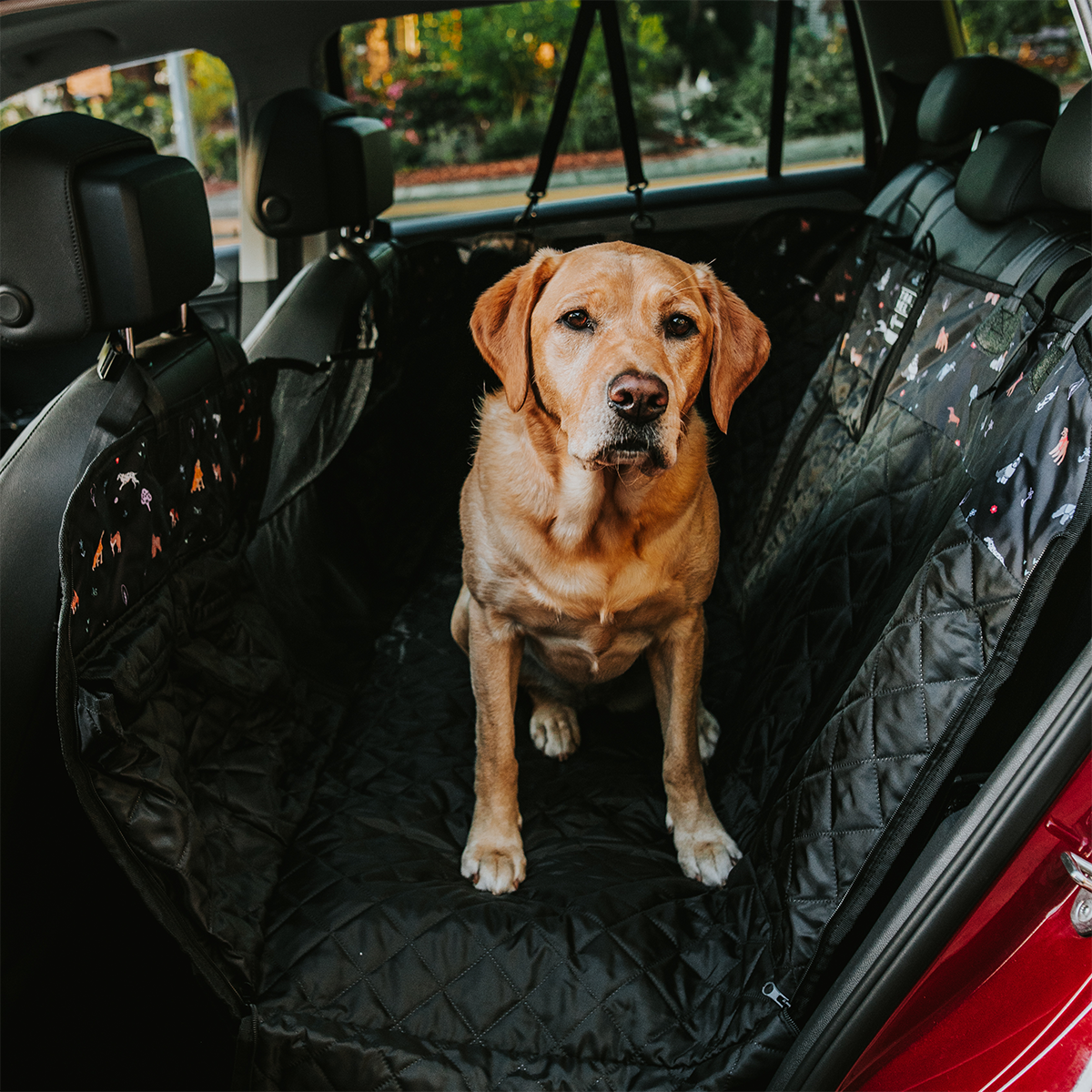 Back Seat Cover with Travel Bag