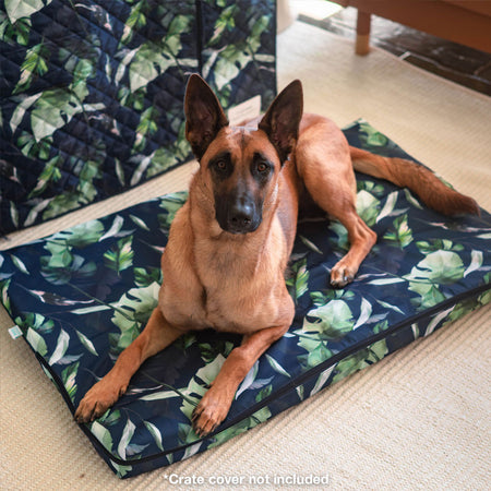 Eden Mattress & Cover
