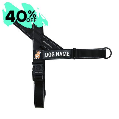 Personalised No-Pull Harness