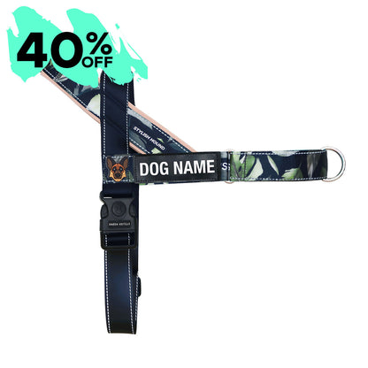 Personalised No-Pull Harness