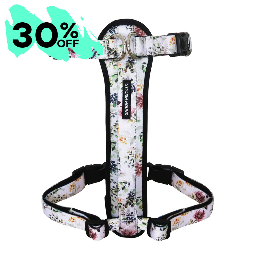 Evergreen Explorer Chest Plate - Evergreen