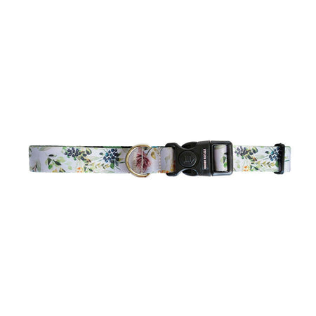 Evergreen Collar - Evergreen