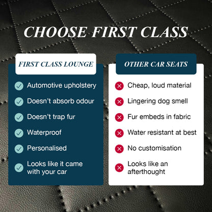 Dog Car Back Seat & Boot Seat