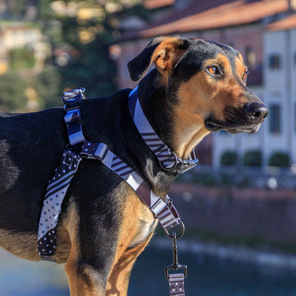 Graphite Collar - Graphite