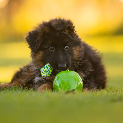 Green Apple Toy Power Chew