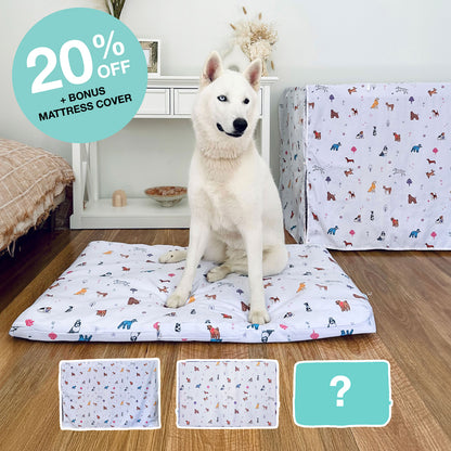 Basic Crate Bundle - Happy Pack