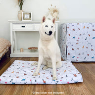 Happy Pack Mattress & Cover