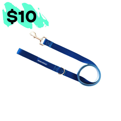 Horizon Leash - Horizon