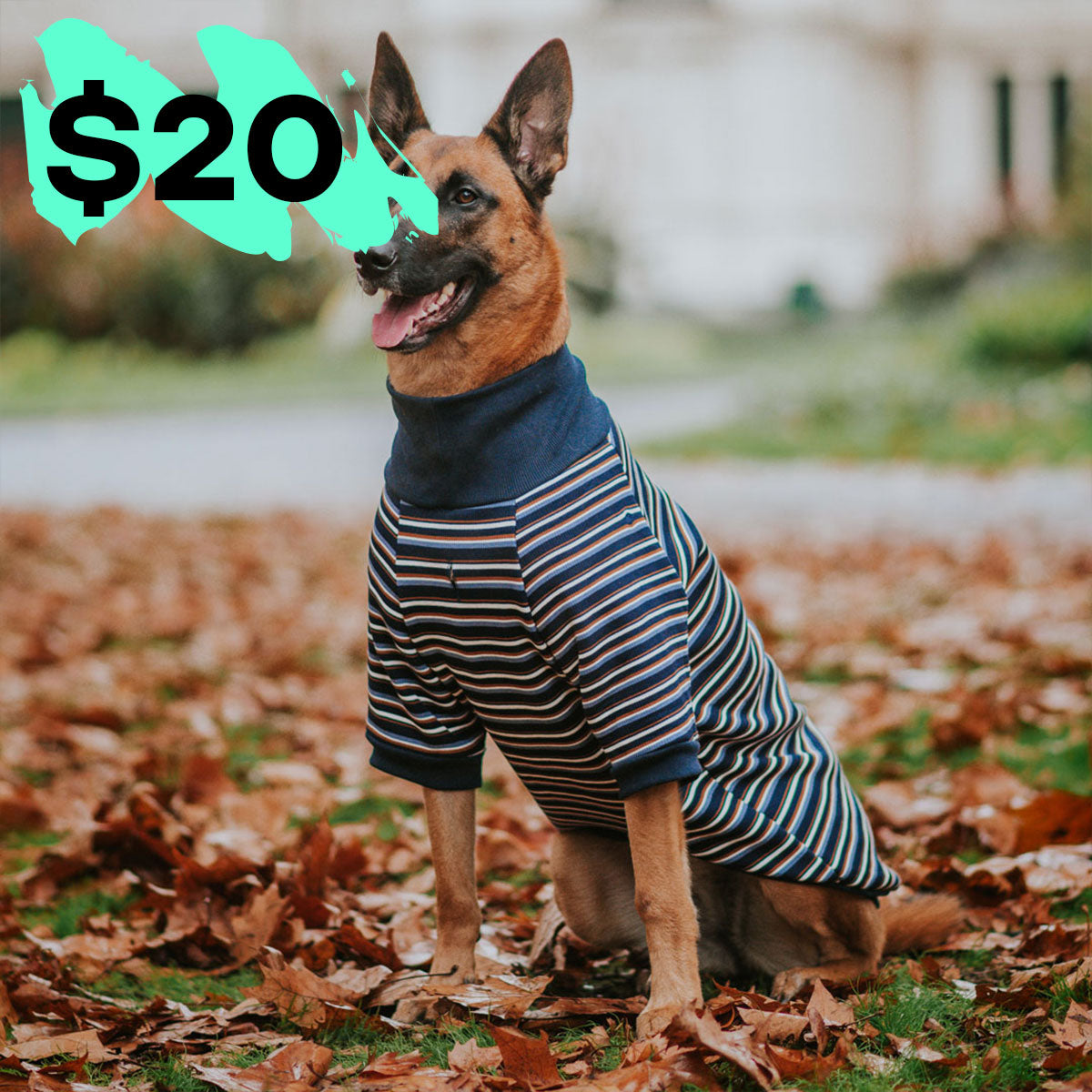 Hugo Stripe Turtleneck Sweater