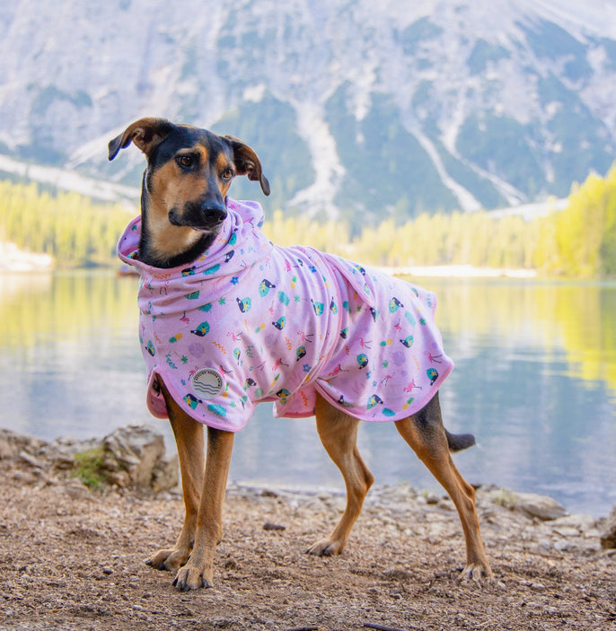 Tropical Dog Robe