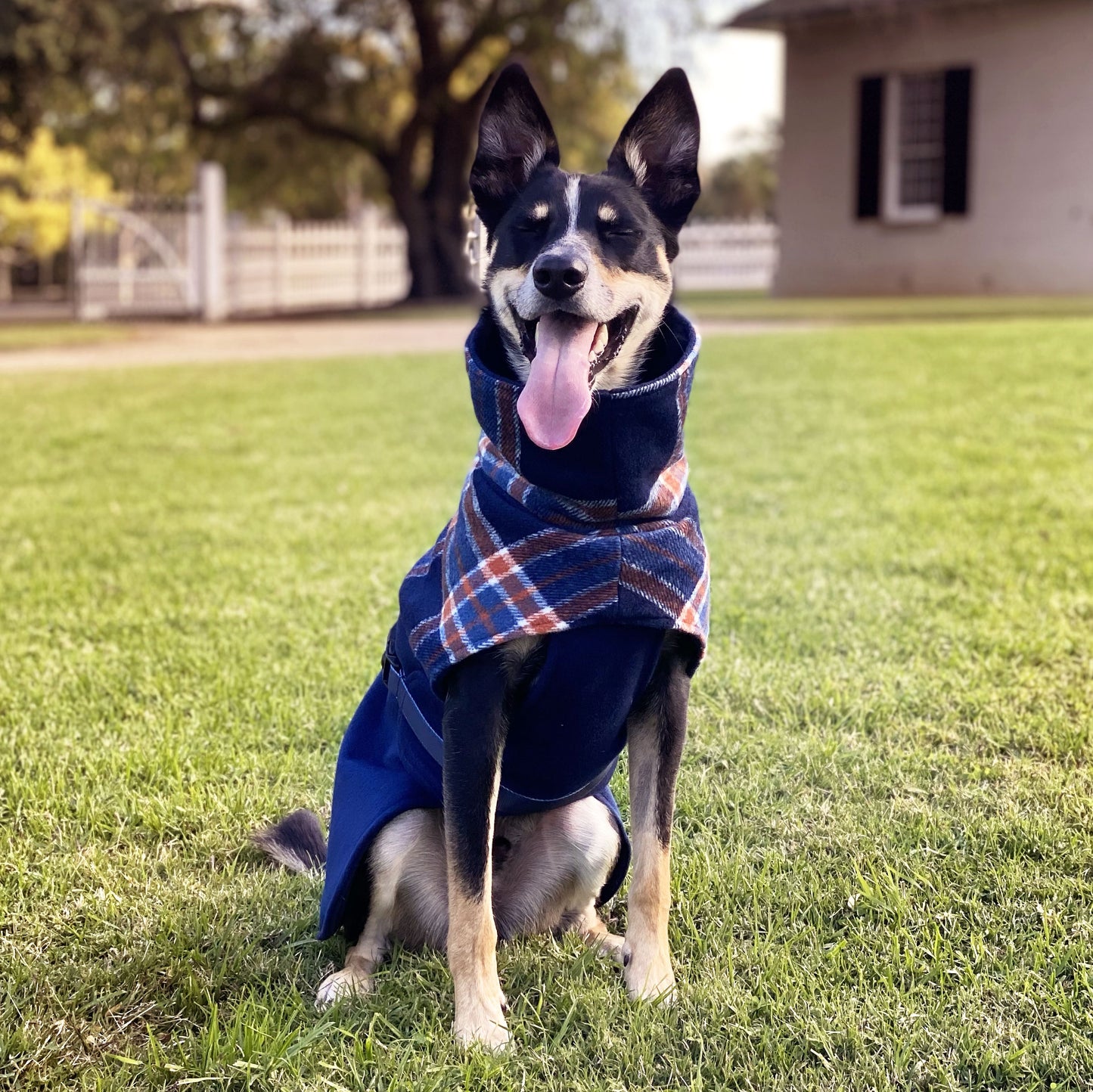 Navy Winter Coat