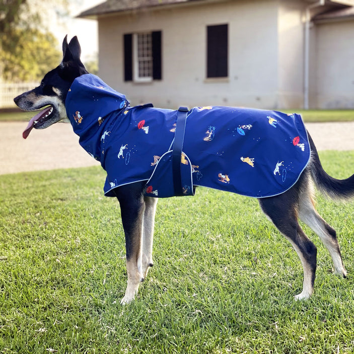 Dog Raincoat