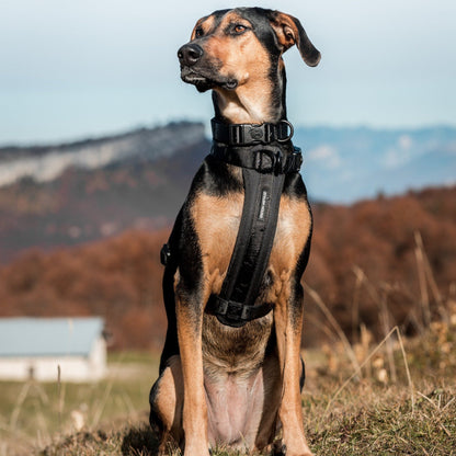 Blackout Explorer Chest Plate - Blackout