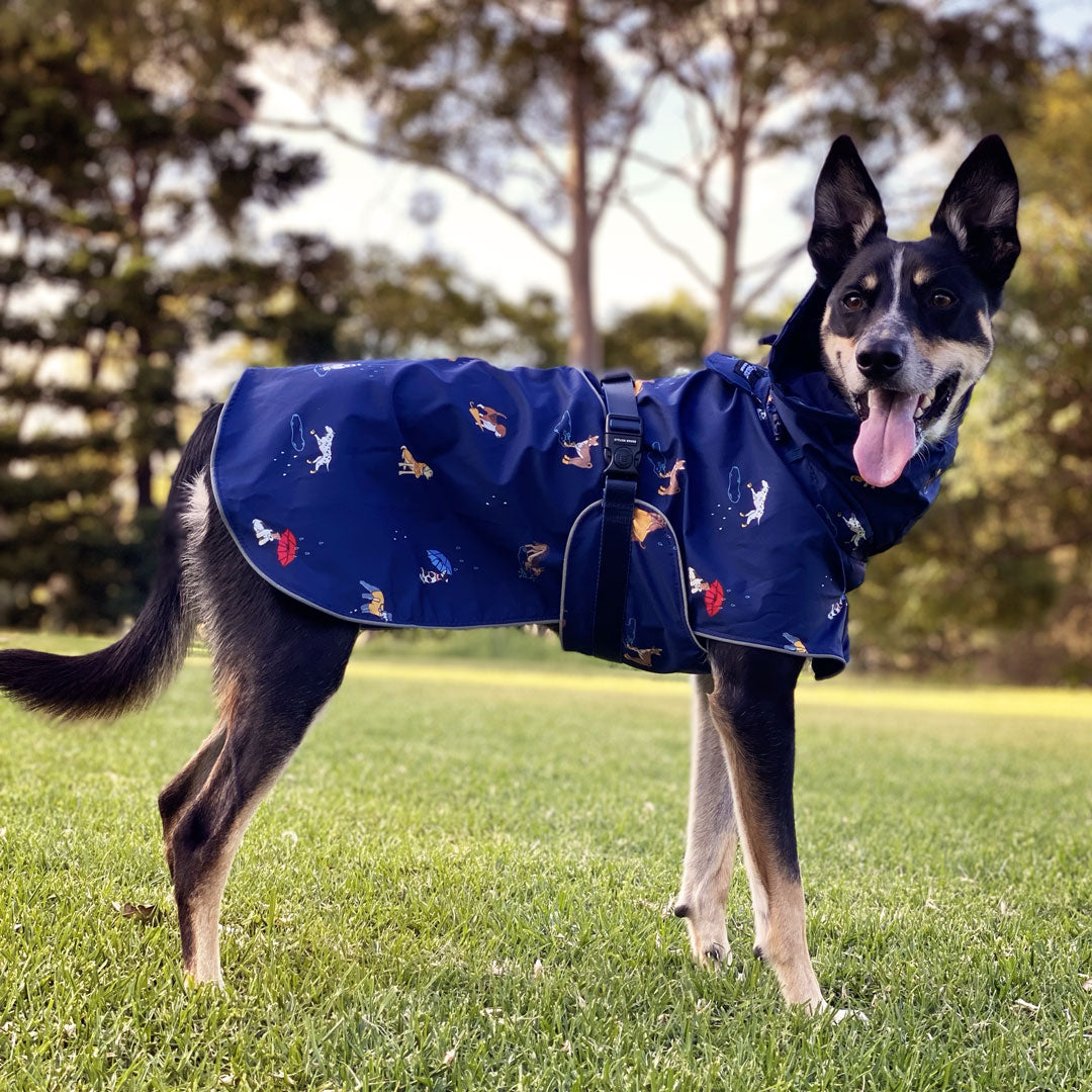 Raincoats for dogs sales australia