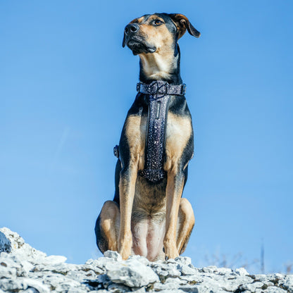 Jackson Explorer Chest Plate - Jackson