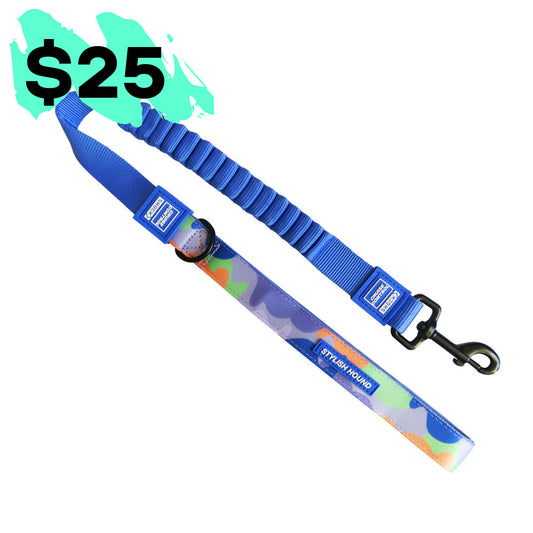 $25 Cruise Control Obedience Leash