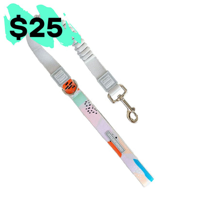 $25 Cruise Control Obedience Leash