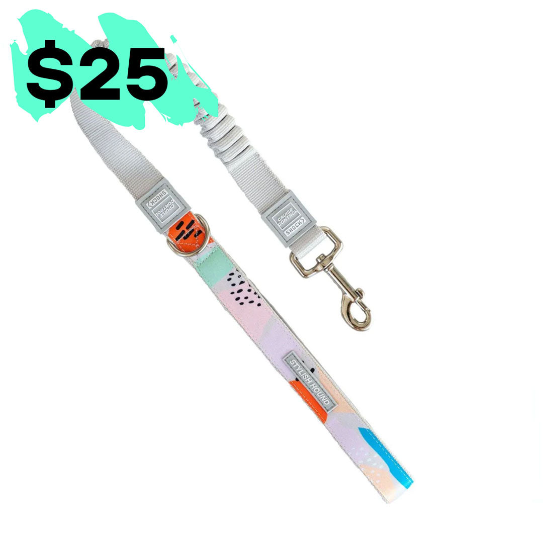 Newtown CC Leash - Newtown