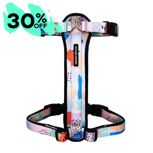 Newtown Explorer Chest Plate - Newtown