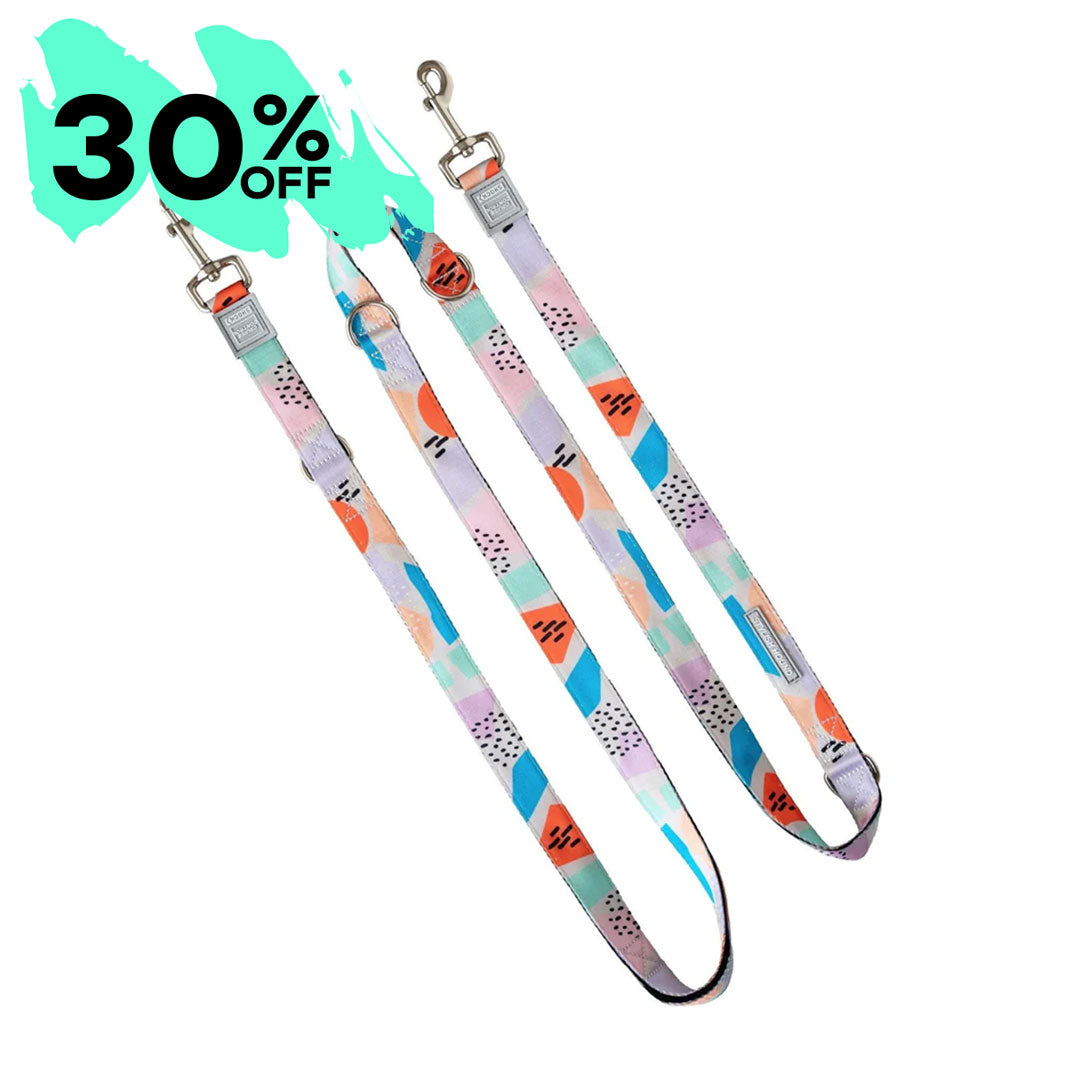 Newtown Multi-Function Leash - Newtown