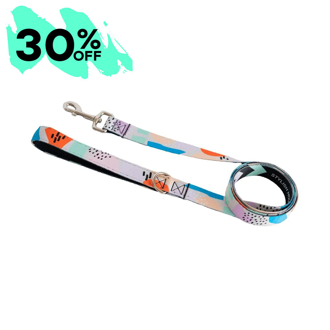 Newtown Leash - Newtown