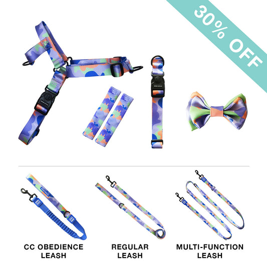 OG No-Pull Harness + Leash + Collar + Bow Tie