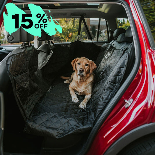 Back Seat Cover with Travel Bag