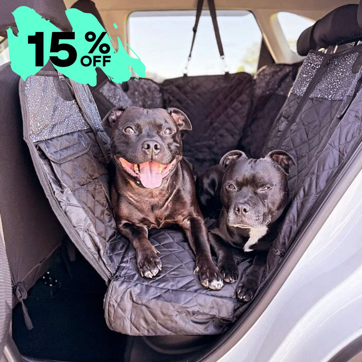 Back Seat Cover with Travel Bag