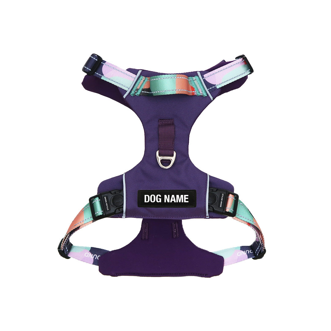 Odyssey Personalised Harness