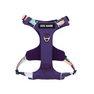 Purple Atlas Odyssey Harness