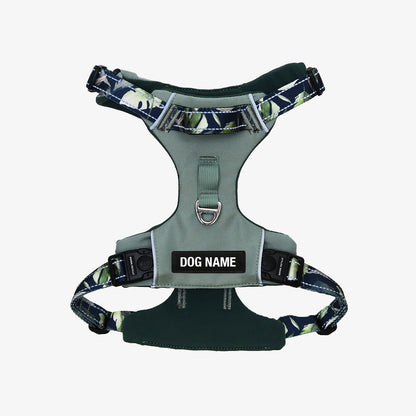 Odyssey Personalised Harness