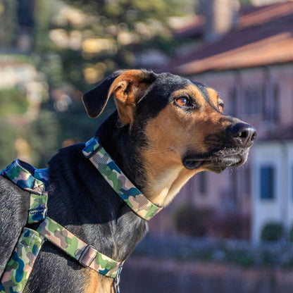 On Duty Collar - On Duty