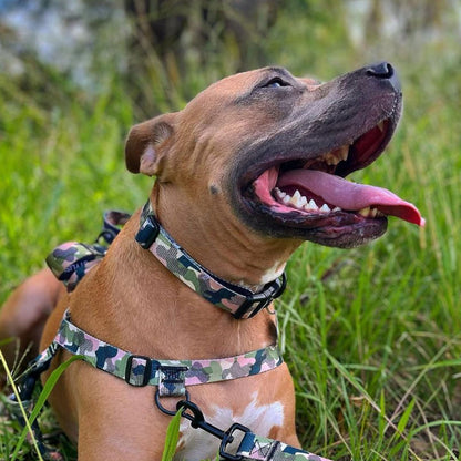 On Duty Collar - On Duty