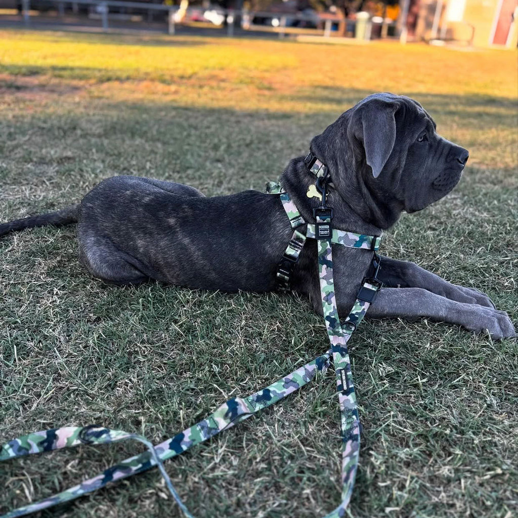 On Duty Multi-Function Leash - On Duty