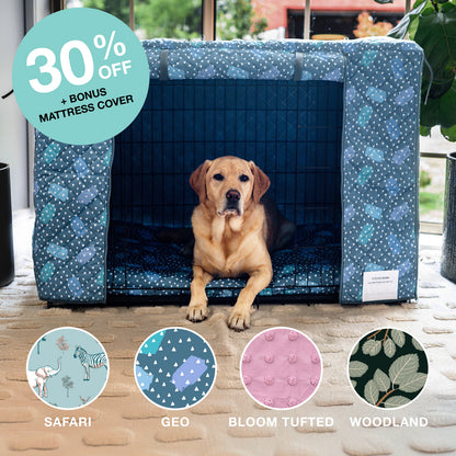 Outlet Crate Bundle - Geo