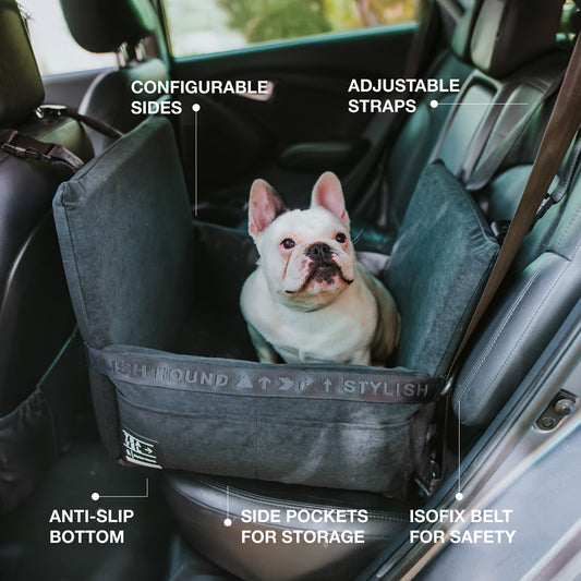 Car Seat and Travel Home