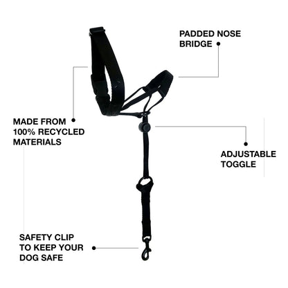 Halter + Safety Clip